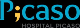 Picaso Logo